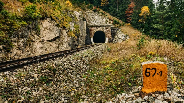 Slovak dağlarındaki tünelin önü, sonbahar rengi...