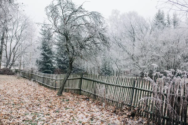 Zimowy krajobraz pokryty białym mrozem — Zdjęcie stockowe