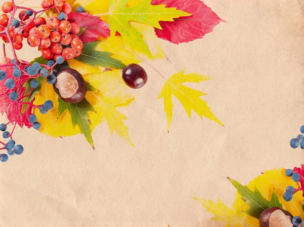 Fondo de otoño Vintage —  Fotos de Stock