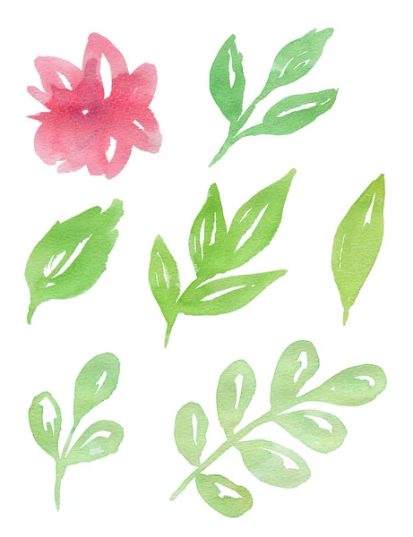 Watercolor flowers and green leaves — Stock Photo, Image