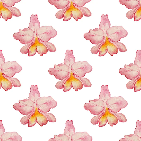 Tropiska mönster med orkidéer — Stockfoto