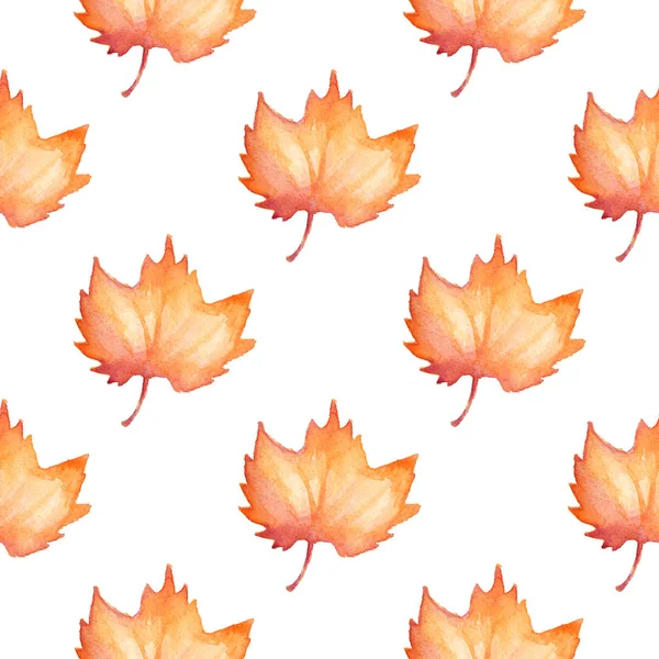 カエデの葉の模様 — ストック写真