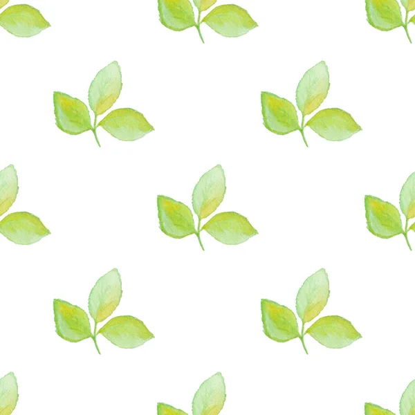 Pattern with green leaves — Stock Photo, Image