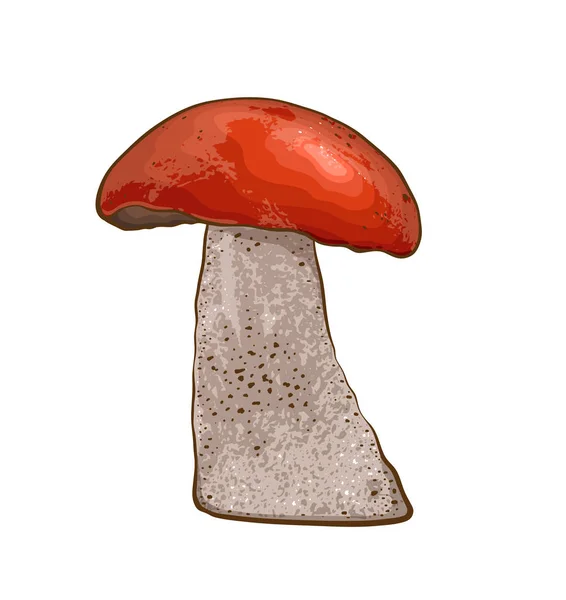 Mushroom with red cap — Stock Vector
