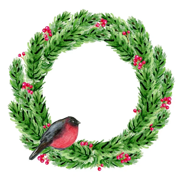 Watercolor Christmas wreath with bullfinch — Stock Photo, Image