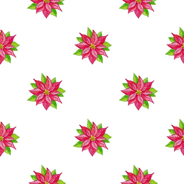Christmas watercolor pattern with red flowers — Stock Photo, Image