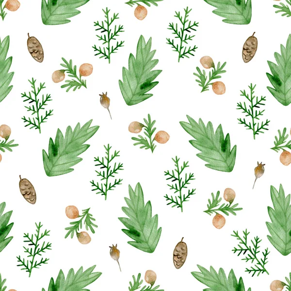 Seamless pattern with evergreen plants. — Stock Photo, Image