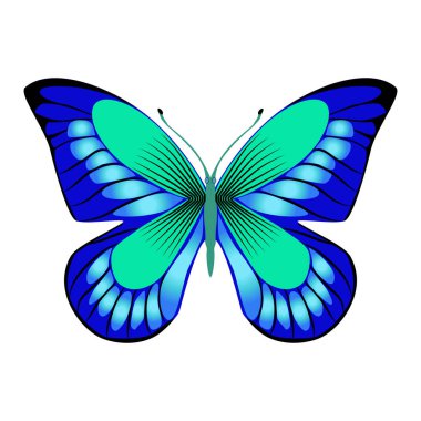 Parlak güzel dekoratif mavi kelebek. Vektör çizim 