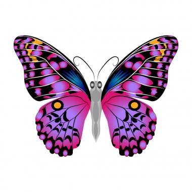 Parlak güzel Mor Kelebek. Vektör illüstrasyon izole.