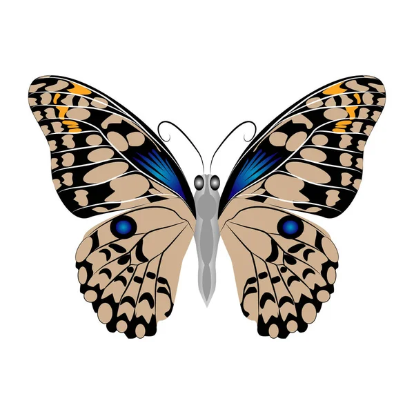 Яскравий красивий коричневий метелик. Векторні ілюстрації ізольовані . — стоковий вектор