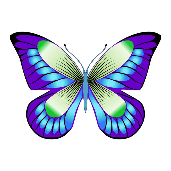 Hermosa mariposa verde brillante. Ilustración vectorial aislada . — Vector de stock