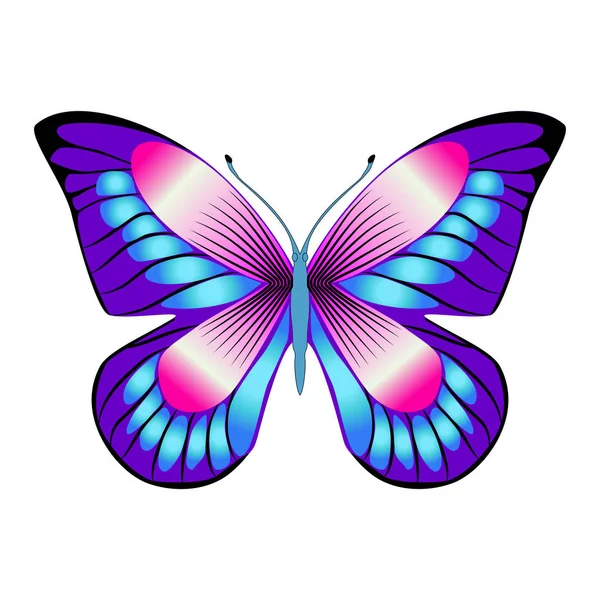 Hermosa mariposa púrpura brillante. Ilustración vectorial aislada . — Vector de stock