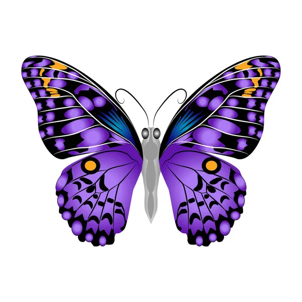 Piękny jasny fioletowy motyl. Wektor ilustracja na białym tle. — Wektor stockowy