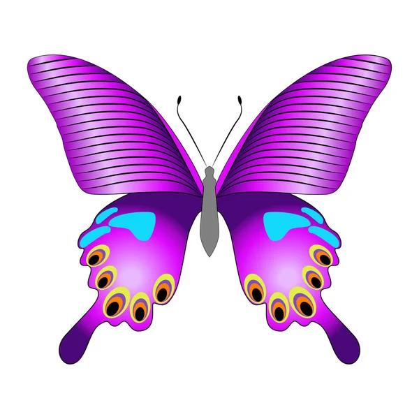 Яркая красивая фиолетовая бабочка. Векторная иллюстрация . — стоковый вектор