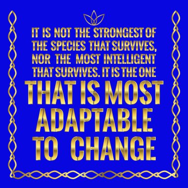 Motivasyonel teklif. En güçlü türler değildir bu 