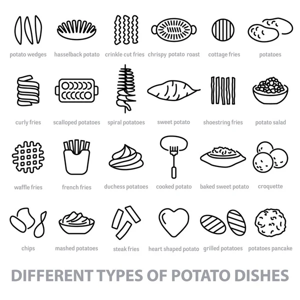 Diferentes tipos de platos de patata — Vector de stock