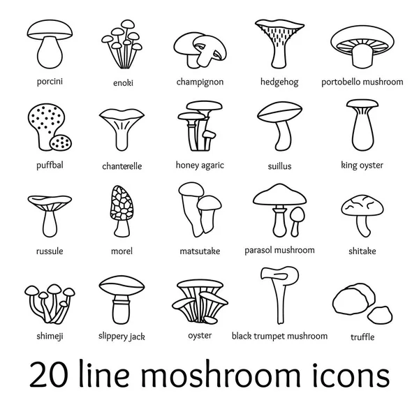 Veinte iconos de mosroom línea — Vector de stock