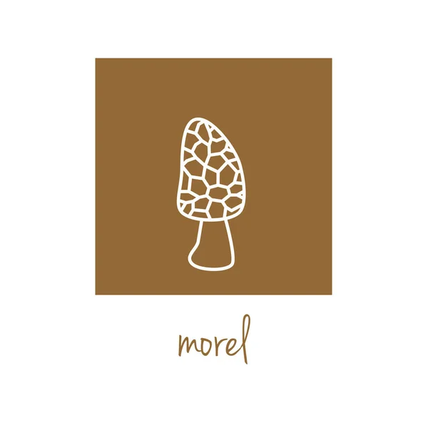 Morel pictogram op bruin plein — Stockvector