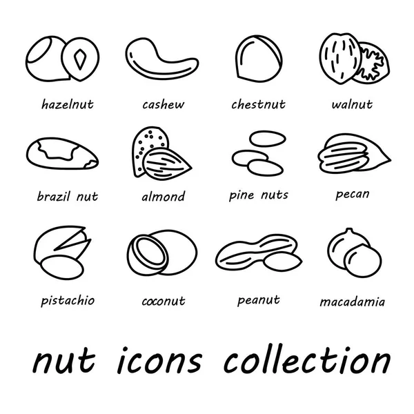 Collection d'icônes de noix vectorielles — Image vectorielle