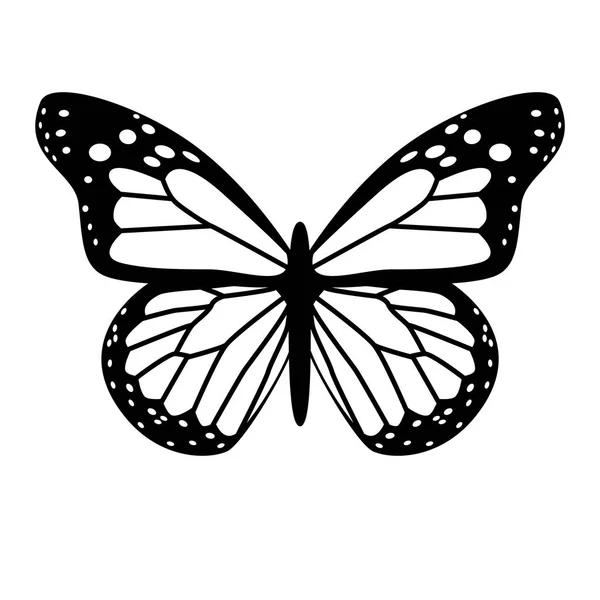 Siyah ve beyaz vektör kelebek — Stok Vektör
