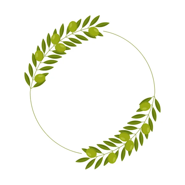 Corona vettoriale con olive verdi e foglie — Vettoriale Stock