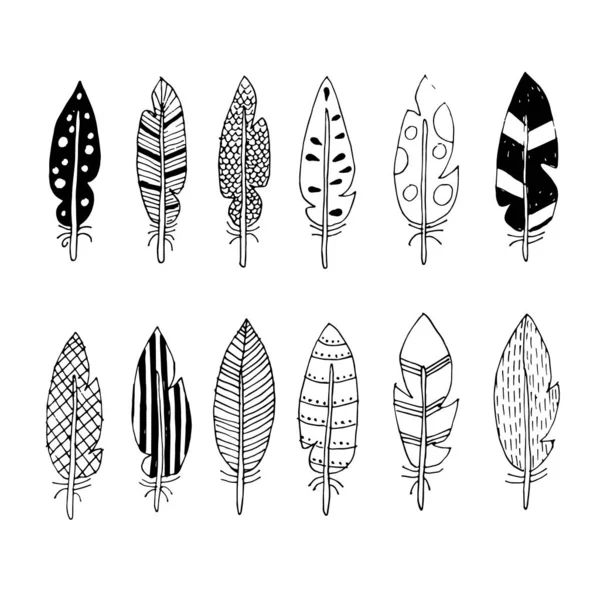 Plumes vectorielles avec dessins abstraits — Image vectorielle