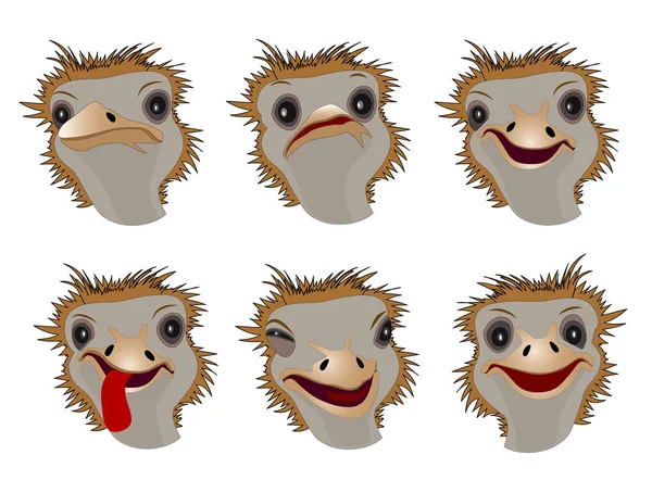 Icons Form Funny Ostriches Depicting Various Emotions Archive Contains Jpeg — Stock Photo, Image