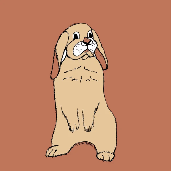 Hand drawn rabbit on hinder legs — Stock Vector