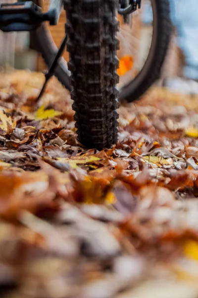 Pneu de bicicleta de montanha no chão — Fotografia de Stock