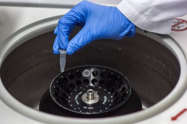 Araştırmacı veya bir biotechnolog çalışan bilim adamı ya da doktora öğrencisi