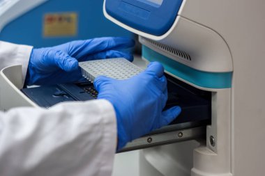 Bilim adamı ya da araştırmacı veya doktora öğrencisi dna örnekleri pcr koymak 