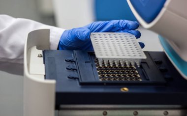 Bilim adamı ya da araştırmacı veya doktora öğrencisi dna örnekleri pcr koymak 