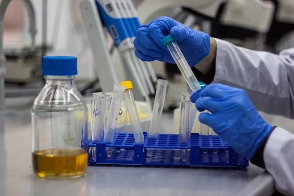 Cientista moderno trabalhando em laboratório biotecnológico — Fotografia de Stock