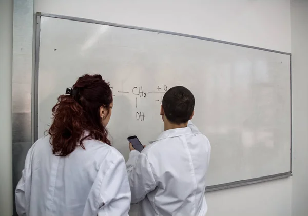 Unga läkare skrivs ut vissa kemiska element på en vit vildsvin — Stockfoto