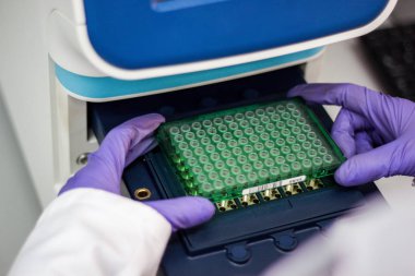 Bilim adamı ya da araştırmacı veya doktora öğrenci fla Dna örnekleri al