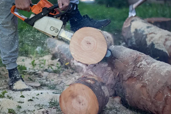 Вудман режет валун бензопилой, дровами, рубит деревья — стоковое фото