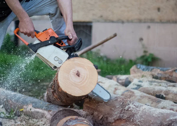 Вудман режет валун бензопилой, дровами, рубит деревья — стоковое фото