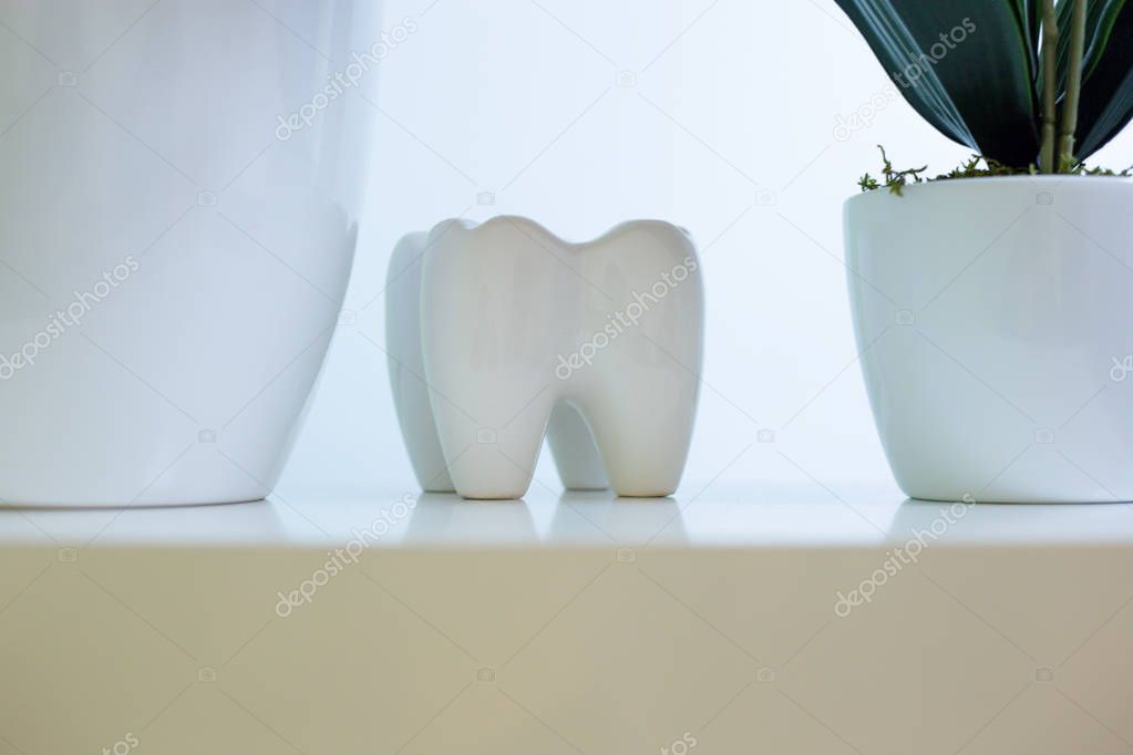 Dentist, large artificial tooth with root and crown, dental offi