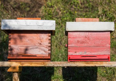 Ahşap kovan arı, arıcılık, tatlım, sağlık, sağlıklı yaşam için