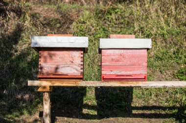 Ahşap kovan arı, arıcılık, tatlım, sağlık, sağlıklı yaşam için