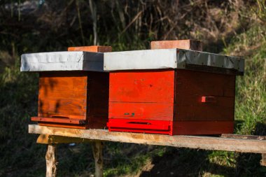 Ahşap kovan arı, arıcılık, tatlım, sağlık, sağlıklı yaşam için