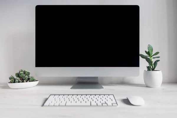 Computer on desk with plants