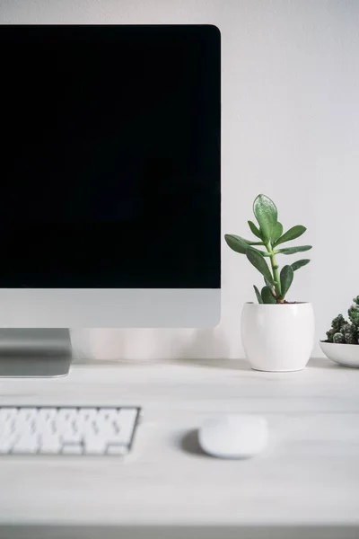 Computer on desk with plants