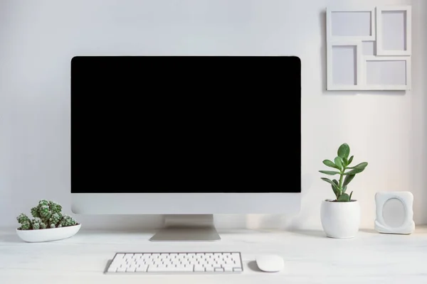 Ordenador en el escritorio con plantas — Foto de Stock