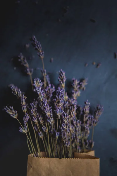 Dry lavender flowers 