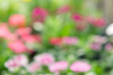 Park arka plan çiçekler stil bulanıklık