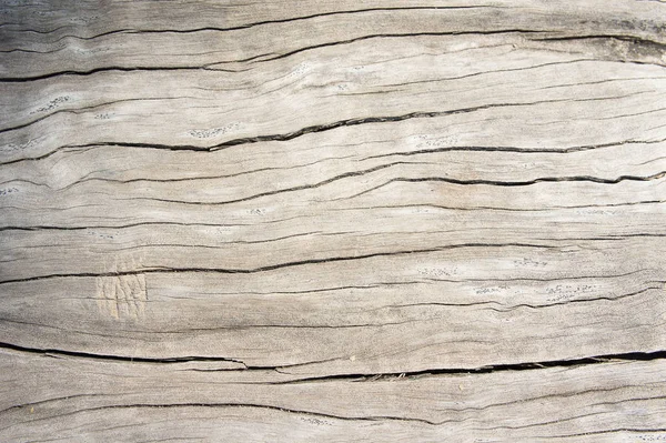Textura madera roble estilo más antiguo, fondo madera viejo sucio — Foto de Stock
