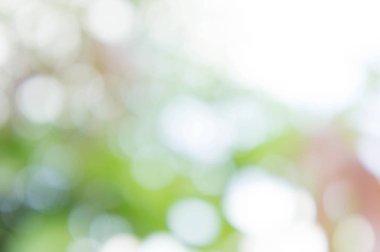 doku bokeh style, güneş ışığı bokeh arka plan, bokeh ve bulanıklık