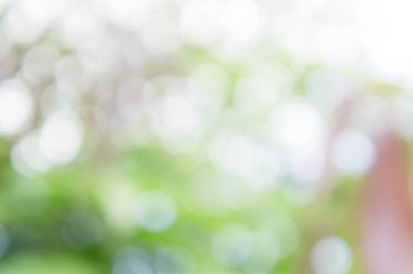 doku bokeh style, güneş ışığı bokeh arka plan, bokeh ve bulanıklık