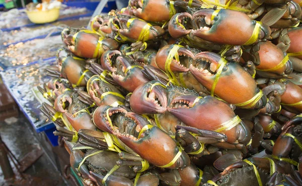 Krab Vangst Bindend Voor Markt Zeevruchten Dat Mensen Een Eten — Stockfoto